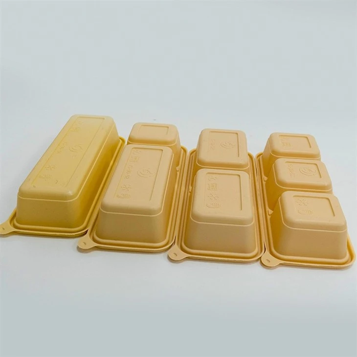Disposable Biodegradable Lunch Boxes - Ideal for Office and School (9)