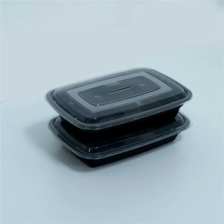 Plastic Lunch Boxes with Lids - Perfect for Environmentally Friendly Takeout (4)