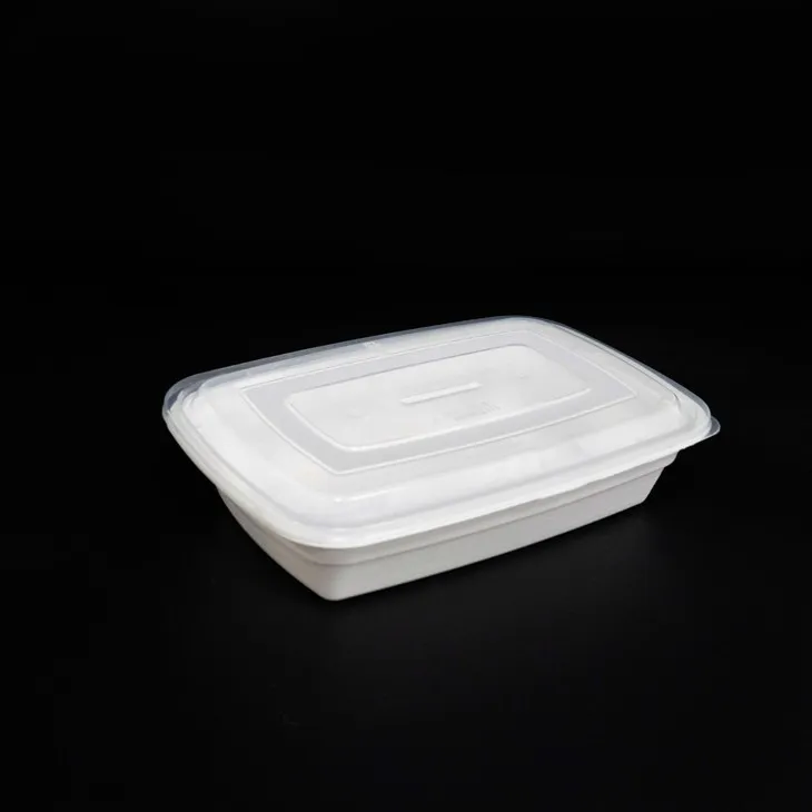 Plastic Lunch Boxes with Lids - Perfect for Environmentally Friendly Takeout (1)