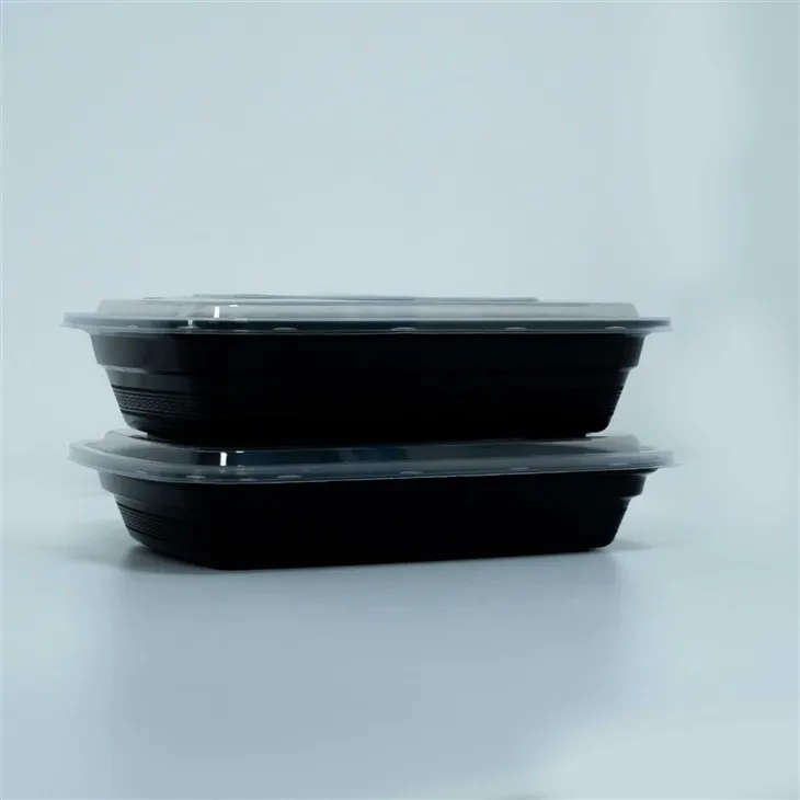 Plastic Lunch Boxes with Lids - Perfect for Environmentally Friendly Takeout (5)