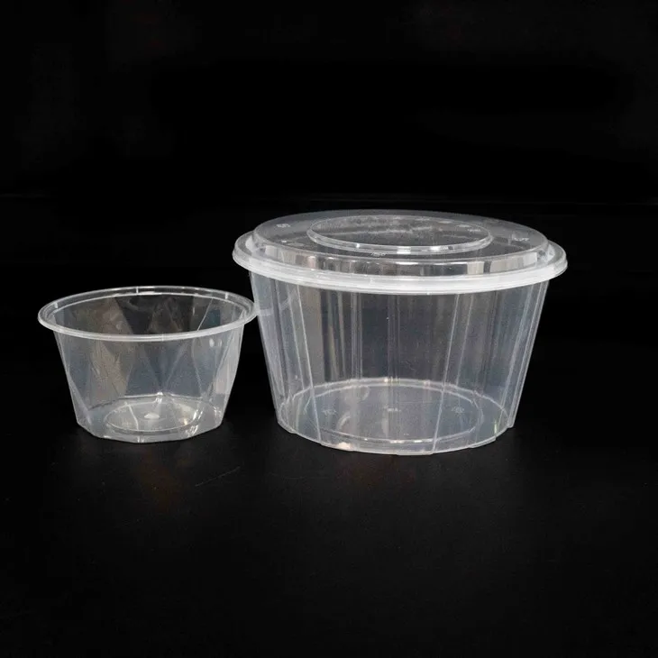 Portable Plastic Bowls - Perfect for Outdoor and Indoor Events (2)