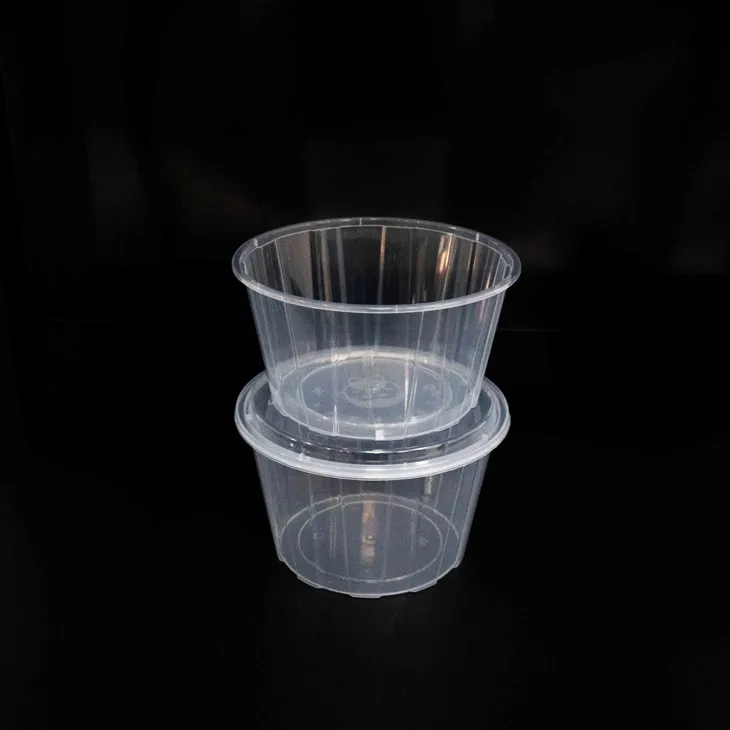 Portable Plastic Bowls - Perfect for Outdoor and Indoor Events (6)